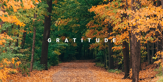 We are full of gratitude FOR YOU this fall 